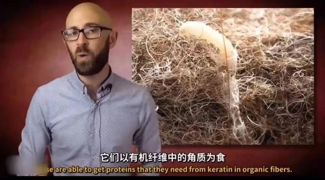 微信图片_20210311095315