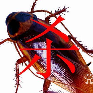 上海欢洁有害生物防治有限公司